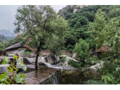 北京去神堂峪自然风景区旅游包车一天多