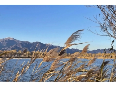 北京去野鸭湖国家湿地公园旅游包车一天